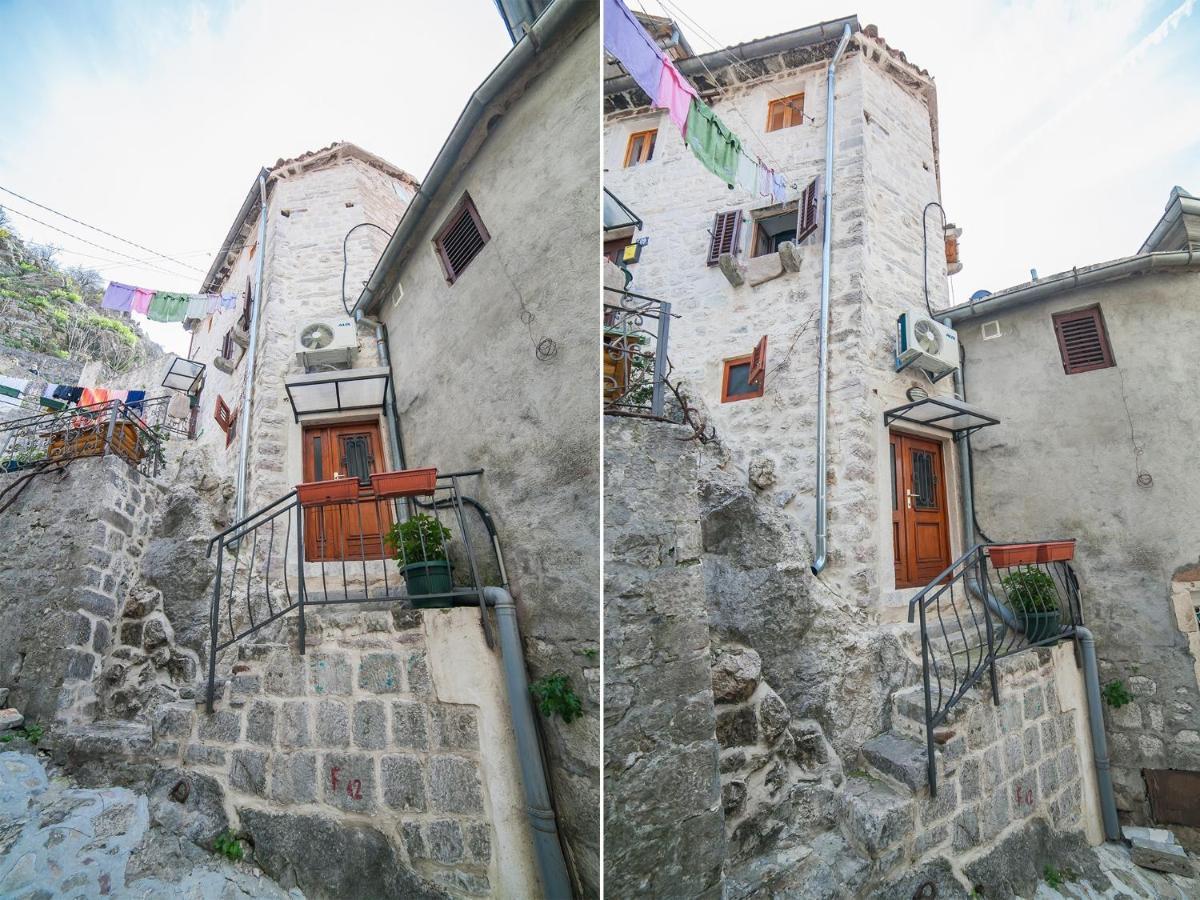 Apartment Alexandra Kotor Exteriér fotografie